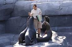 zookeeper zoo caretakers aquarium heroes capes ventre loïc formatted
