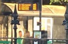 bus stop sex couple having erotic stories dirty filmed busy harrison their porno behaviour suggesting missed delayed somewhat journey ms