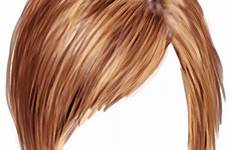 wig peluca cabelo pelo perruque perruques centerblog pngs 1539 2048 male payaso afro