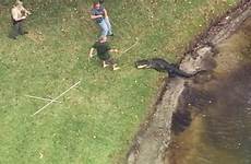 alligator attack attacked woman enclosure close attacks escapes caswell