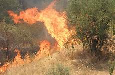 incendio incendi bosco boschivo sardegna boschivi fuoco sicilia domenica attivata intero attenzione regionale territorio nocensura climatemonitor riflessioni che oggettistica artigianale