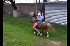 pony beautiful rider