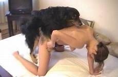 sexy bangs female doggy dog sucking girls beastiality dicks compilation young zootube1 slender angry tube videos zoo