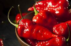 pepper hottest peppers ghost hot spicy most vegetables asian bhut jolokia pepperscale stock tripcentral ca tasteatlas foods similar eating