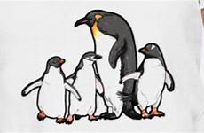 adelie emperor chinstrap gentoo penguins