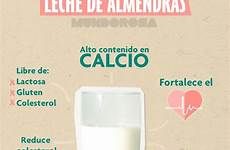 leche almendras beneficios salud vaca leches infografiasyremedios lactosa dieta infografía vegetales grasa infografia consumir almendra ventajas grasas consumo