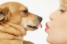 anjing masalah croissant cani parasites worm buona colazione pelosi dimulai membina memperbaiki hubungan dogspaceblog dilakukan