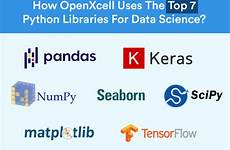 python libraries openxcell uses