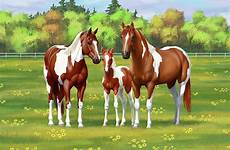 sorrel chestnut horses pinto