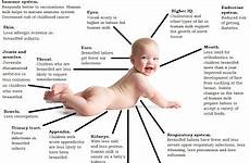 baby breastfed diagram larger click