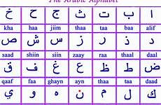 arabic alphabet learn letters words write form join