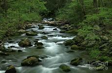 stream rocky timothy johnson photograph 22nd uploaded april which large