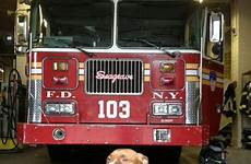 dogs firehouse dog fire department pitbull fdny dept firefighters dalmatians engine steps rescue pit bull apparatus vehicles chart years trucks