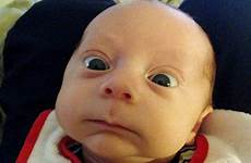 funny baby faces babies face hilarious dailystar