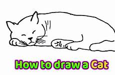cat laying drawing down draw easy step