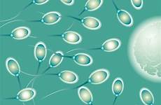 sperm mating psychedelic bokeh abstraction eggs