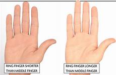 testosterone finger male length hand men much