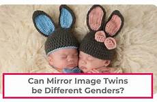 twins genders