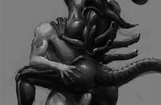 xenomorph alien rule34