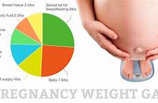 weight gain pregnancy chart distribution pie mama natural