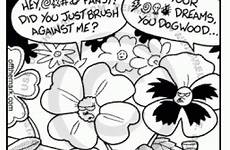 pollination cross cartoon cartoons flower 2002