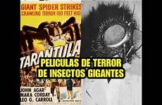 insectos gigantes