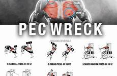 chest exercises workout pec workouts muscle pecs peck men instagram try wreck next effective most small friendly key fitness visit