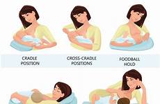 breastfeeding positions nursing bottle moms newborn lactation aleitamento babies materno cradle latch mothers imagens lap pumping tk mom royalties vetoriais
