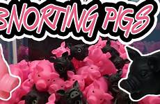 snorting pigs