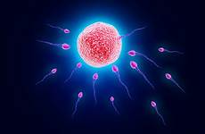 sperm eggs saptamana sarcina psychedelic bokeh abstraction mating