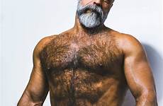 men hairy handsome scruffy bearded man beard beards bear rugged muscle moustache sexy chest grey male choose board
