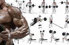 barbell exercises workouts gymguider