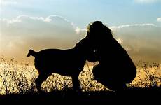 canine pets outdoors sunset sky animal dog girl horse mammal savanna pup happiness mustang doggy puppy silhouette morning portrait friend