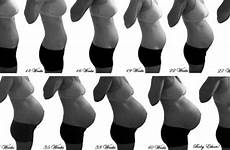 bump progression bumps bellies