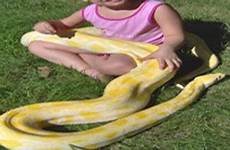 strangles python girl year old