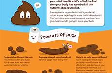 poop telling infographic year whats daily