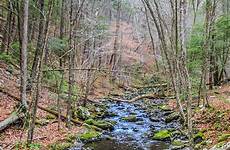 stream mountain terry mccarrick gap delaware water photograph 21st uploaded november which