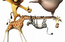 madagascar europe lion wanted most marty alex giraffe hippo zebra gloria dreamworks melman animation