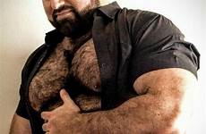 hairy hunks chested