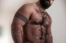 gay hairy man muscle men bearded bear bears chest sexy choose board muscular