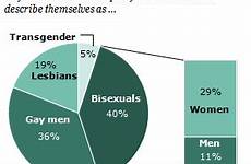 lgbt gay lesbian statistics percent gays americans percentage survey population bisexuals people chart transgender pie lesbians men america bisexual male