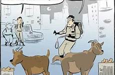 goats cartoons puns pest controlling cartoonstock
