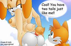 cream tails xxx sonic rabbit cheese chao rule34 tail rule 34 ass respond edit