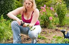 woman garden planting strawberries her stock plant