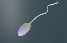 sperm analysis do healthy keep dummies guide aculife want testicles things made where