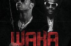 waka platnumz ross ipupa inama fally platinumz trendybeatz ndwompafie notjustok