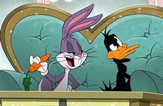 tunes looney pernalonga patolino novos anuncia daffy bros bugs duck