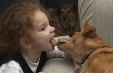 dog kisses kiss dogs kid kissing mouth yuck vs crate build tables turn could ll pets animals forum has