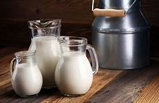entera leches incluso grasa cruda derivados riesgos necesaria inclina aún sostiene tomamos desnatada