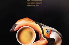 burnett leo mccafe toucan mcdonalds adforum adsoftheworld exhibited advert produces despite goods anuncios coloribus gaborit depuis